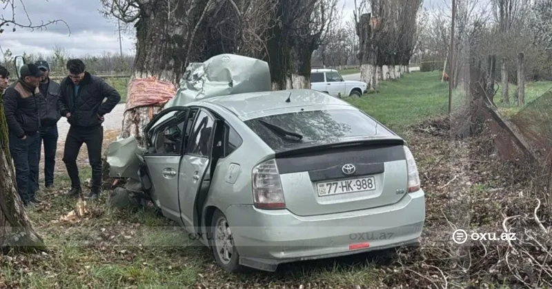 В Губе автомобиль врезался в дерево, есть пострадавший