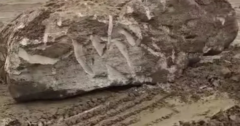 В Баку пытались украсть приморские скалы Ночная погоня и экскаватор / ВИДЕОФАКТ