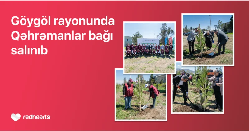 В Гёйгёле реализована акция Qəhrəmanlar bağı (R)