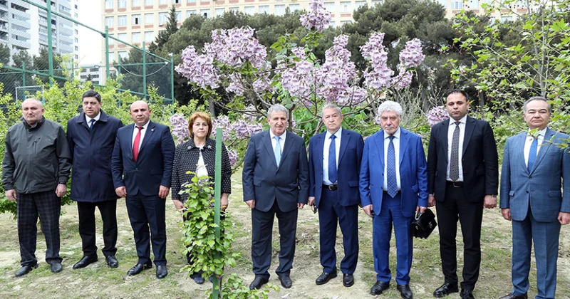 Akademiya şəhərciyindəki Nadir ağaclar parkı artıq öz bəhrəsini verir