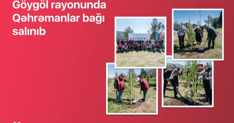 Göygöldə “Qəhrəmanlar bağı” aksiyası həyata keçirildi