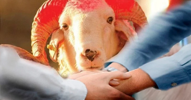 Bu niyyətlərlə qurban kəsməyin! İlahiyyatçı AÇIQLADI