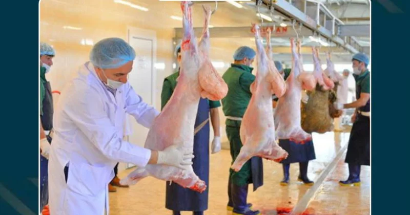 Muxtar respublika üzrə 8 ünvanda qurbanlıq heyvanların satışı və kəsimi xidmətləri təşkil olunacaq