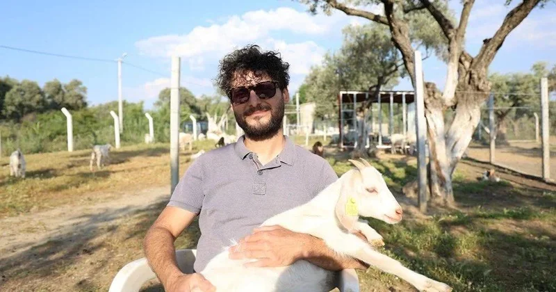 İki universitet bitirib çoban oldu: “Bu işi gənclərə tövsiyə edirəm”