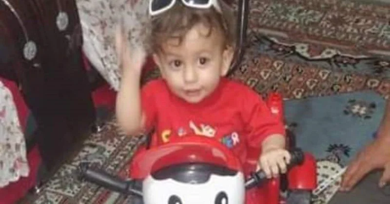 2 yaşlı uşağı ağcaqanad dişlədi Yataq xəstəsi oldu FOTO