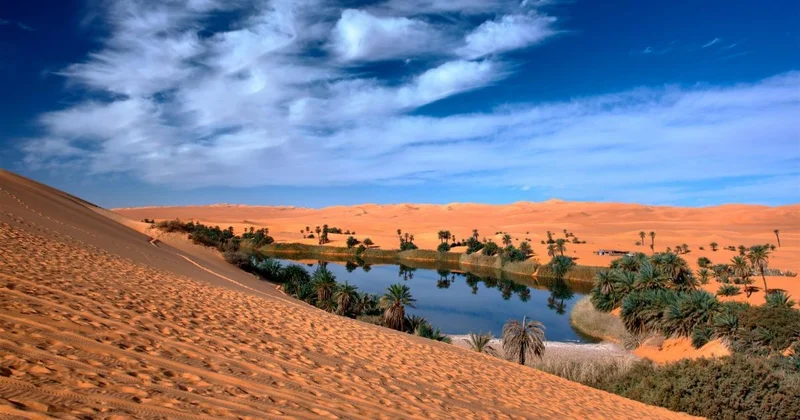 Afrika Böyük yaşıl divar tikir: Özlərini nədən qorunmaq istəyirlər?