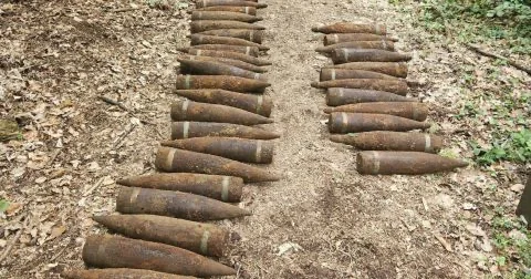 В Берлине в лесу нашли 59 неразорвавшихся советских снарядов времен Второй мировой