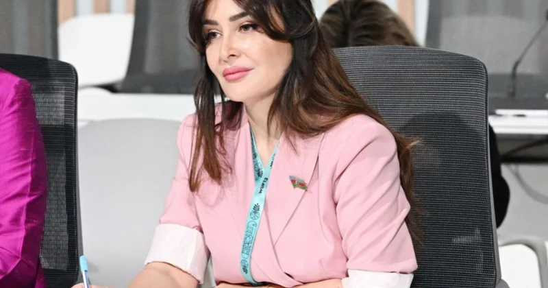 Azərbaycan yeni beynəlxalq təşəbbüslər irəli sürən mühüm dövlətlərdən birinə çevrilib ŞƏRH