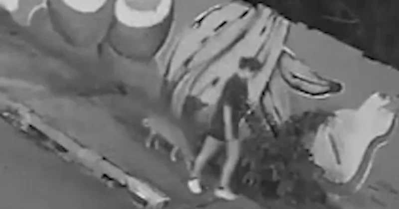 В Бразилии девушка провалилась под землю ВИДЕО