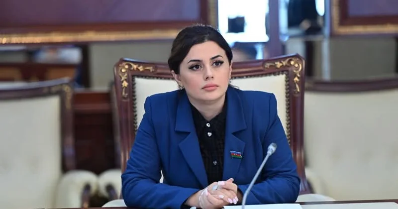 “WUF13 ölkəmizin təşkilati potensialını göstərdi”