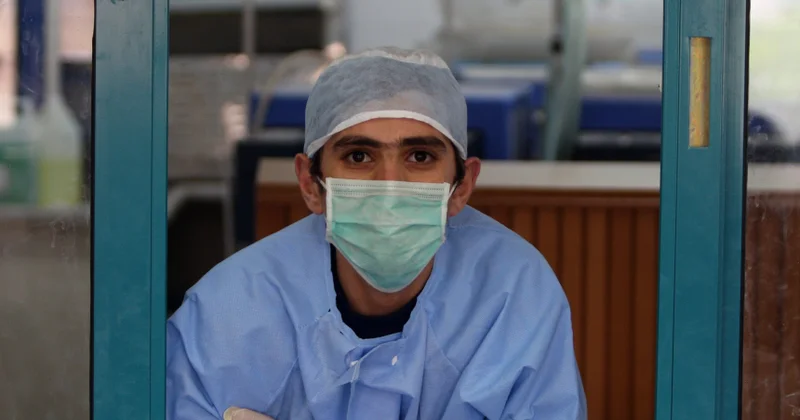 Avropa cinsi yolla keçən xəstəlik epidemiyası ilə əhatə olunub...