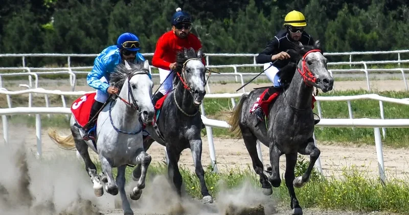 Cıdır yarışlarında qaliblər məlum oldu FOTO