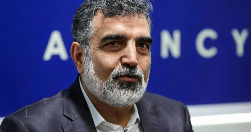 “Nüvə sənayemizin inkişafı davam edəcək” İran rəsmisi