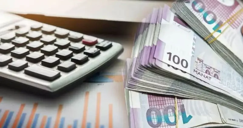 5 manatlıq şirkətin 71 min manat vergi borcu üzə çıxdı