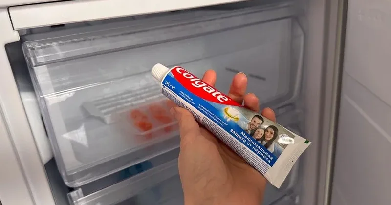 Diş pastasını soyuducuya qoyun!