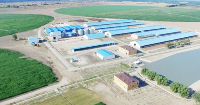 Yevlaxdakı yeni pilot aqroparkda “ağıllı” idarəetmə sistemi tətbiq olunur