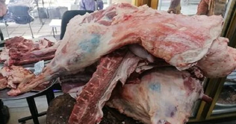 Hansı balıq, quş və heyvanların əti halal, hansı haramdır? Hacı Fuad AÇIQLADI