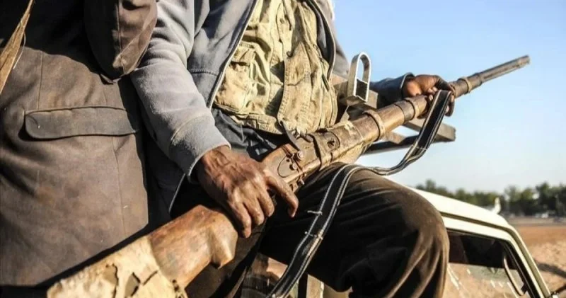 Nigerdə ​​terror hücumu 71 ölü