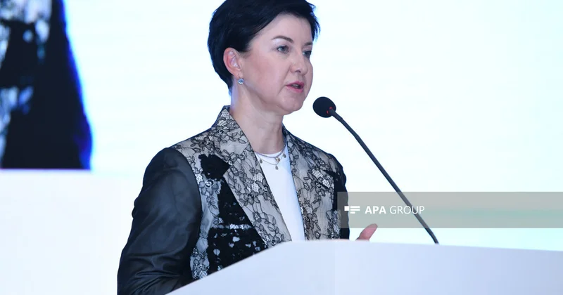 Visa назвала Азербайджан любимой страной для развития безналичных операций