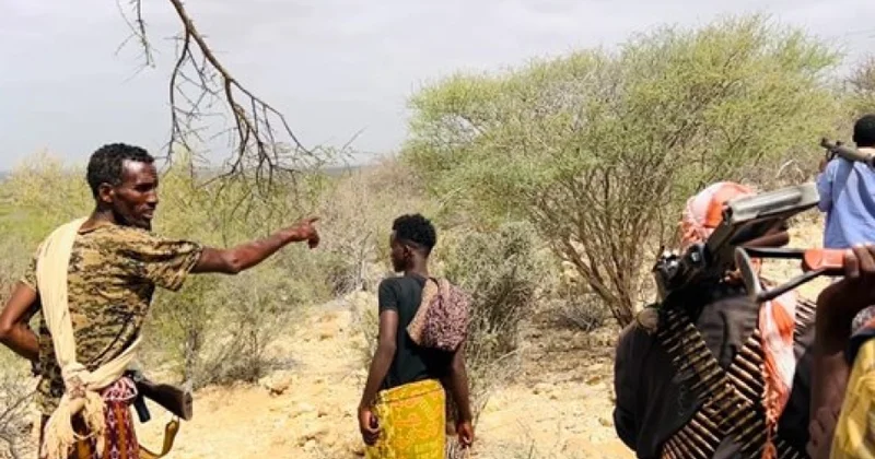 Somalidə silahlı qruplaşmanın 13 üzvü zərərsizləşdirilib