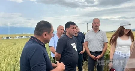 В Исмайыллы обсудили значение сертифицированных семян для сельского хозяйства