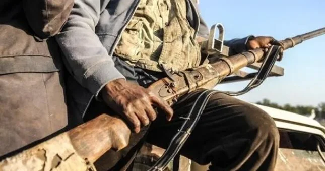 Nigeriyada tarlalara hücum edilib 9 fermer həlak olub
