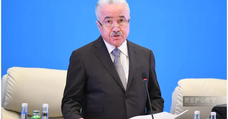 Зейнал Нагдалиев назвал основные проблемы хлопководческой отрасли
