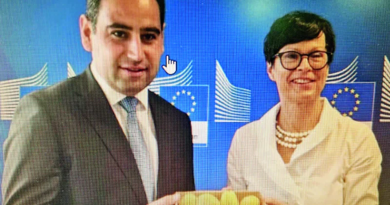 “Avropa zəhmətkeşləri”nə erməni əriyi