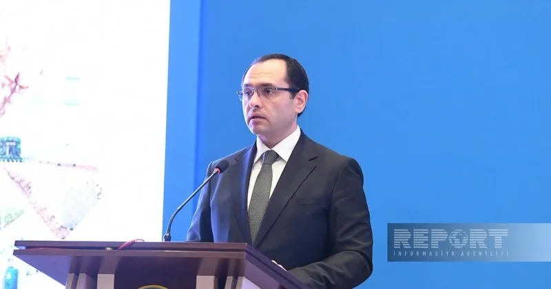 Министр: В Азербайджане в прошлом году основную нагрузку в хлопководстве несли три района