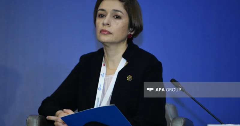 Azərbaycanın sığorta bazarı son 4 ildə iki dəfə böyüyüb