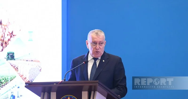 Глава ИВ: В Сабирабаде в 2025г произведено сельхозпродукции на 613 млн манатов