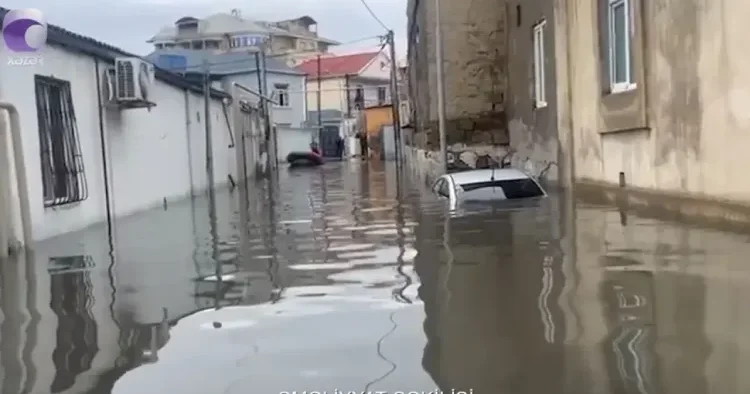Dövlət sərəncamı ilə ayrılan kompensasiyanı ala bilmirlər VİDEO