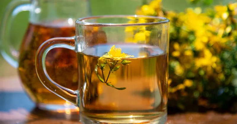 Bu çay böyrəkləri dəstəkləyir və şişkinliyi azaldır, amma hər kəs üçün uyğun deyil