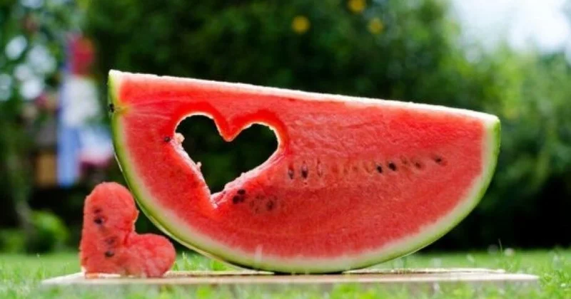 Qarpız avqustda yeyilməlidir fikri nə dərəcədə doğrudur? Müsahibə