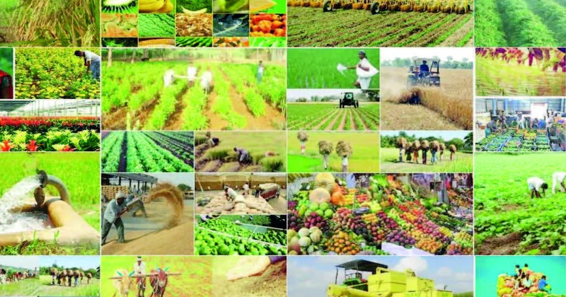 Aqrar sektorda keçidin üstün istiqamətləri