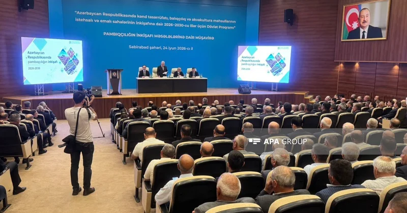 Zeynal Nağdəliyev ölkədə pambıqçılığın inkişafı üçün nəzərdə tutulan tədbirləri açıqlayıb