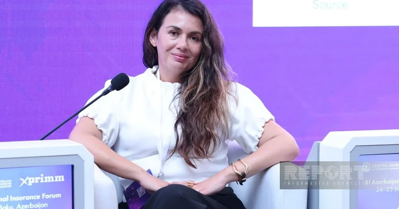 Элина Мошкович: В развивающихся странах до 90% убытков от стихийных бедствий не застрахованы