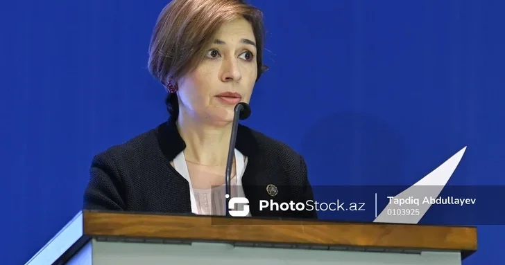 Ульвия Джаббарова: Страховому рынку Азербайджана нужны инновационные продукты