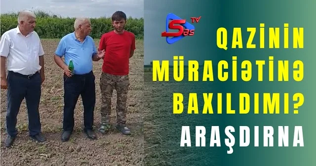 Qazinin müraciətinə baxıldımı? ARAŞDIRMA
