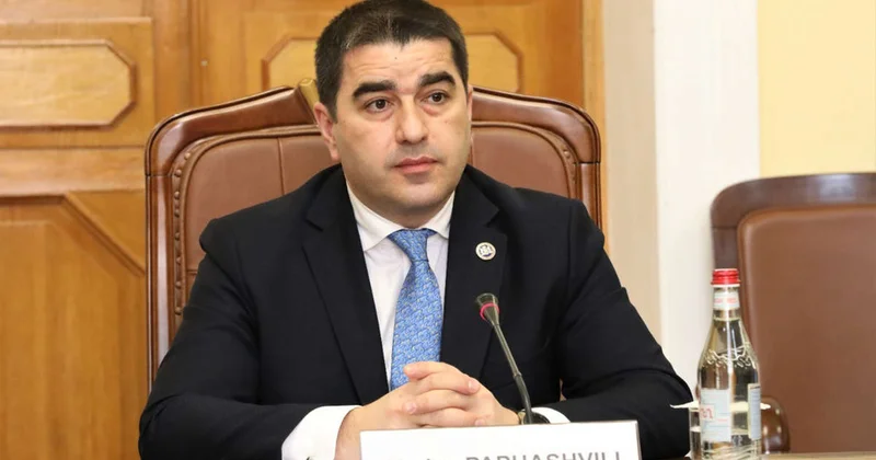 Спикер грузинского парламента обвинил Европарламент в фашизме Minval Politika