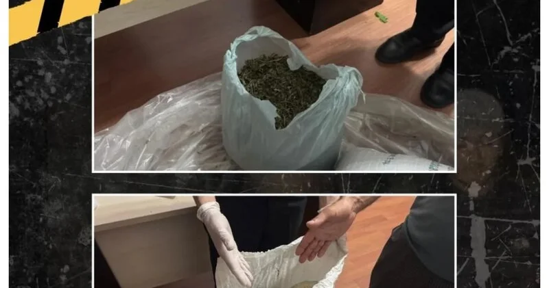 İsmayıllıda meşə ərazisində külli miqdarda narkotik aşkarlandı FOTO