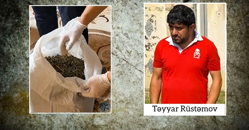 Ağcabədidə çətənə kolları və 7 kiloqramdan artıq marixuana aşkarlanıb