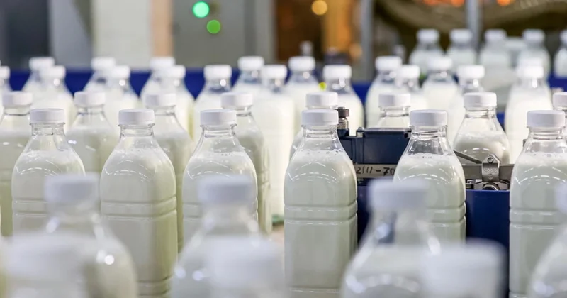 Ульяновская область нарастила поставки молочной продукции в Азербайджан