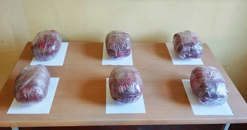 İrandan Azərbaycana göndərilən dron zərərsizləşdirildi