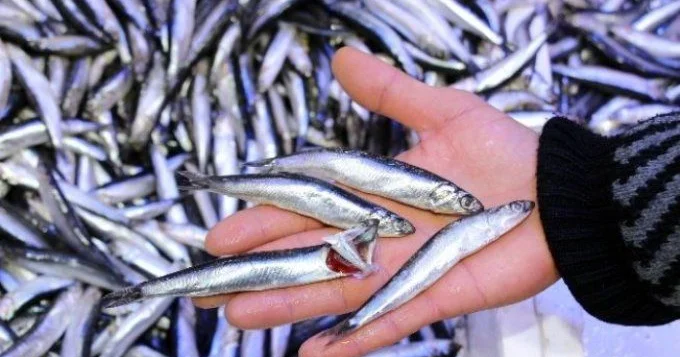 Bu halda həyatınıza təhlükə yarana bilər KONKRET