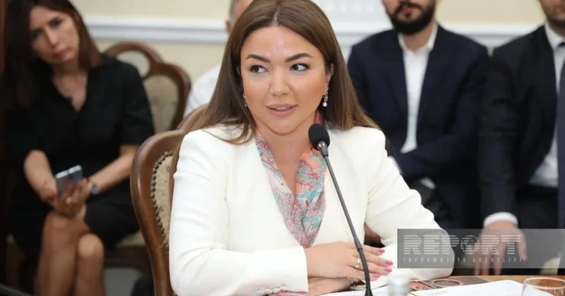 Aygün Əliyeva QHT lərdən nəyi xahiş etdi?