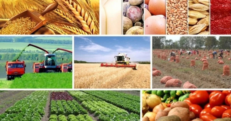 Azərbaycanda aqrar sahəyə 700 milyon manat investisiya qoyulacaq