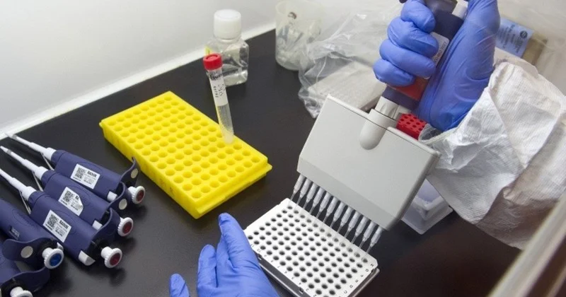 Fransada Ebolaya ilk yoluxma halı qeydə alınıb