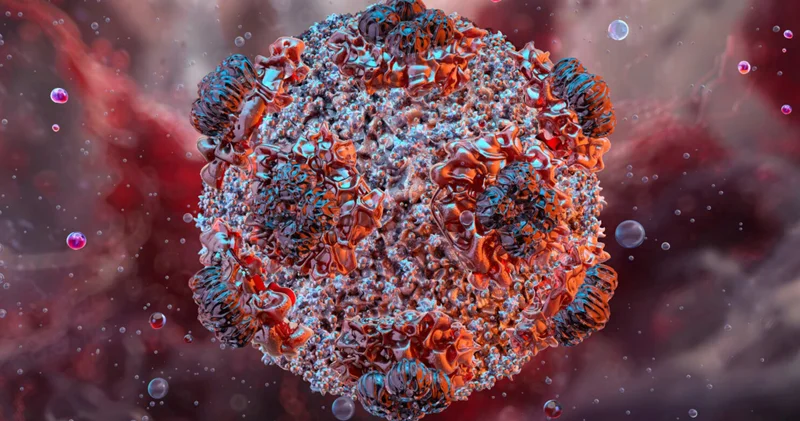 ABŞ hantavirus epidemiyası ilə mübarizənin başa çatdığını elan etdi