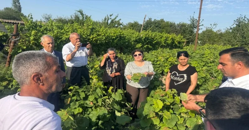 Neftçalada aqrar sahədə maarifləndirici təlim keçirilib